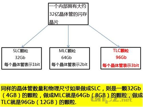 slc mlc tlc