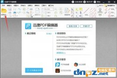 PDF可以插入文本吗？