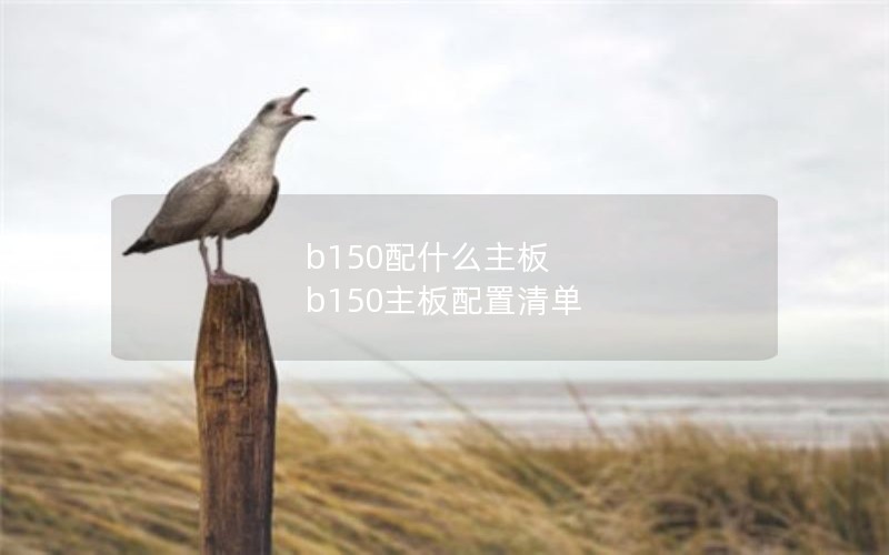 b150配什么主板 b150主板配置清单