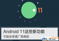 Android11的功能可能不会完全展现！