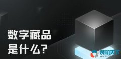 数字藏品是什么？小伙购买数字藏品血亏数万元